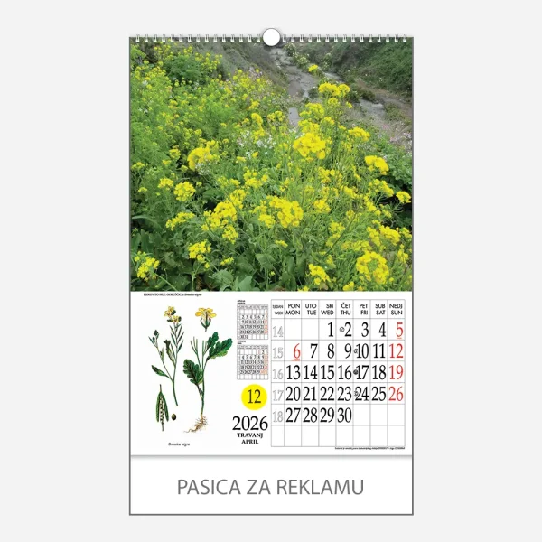 Kalendar s rotacijskim krugom Ljekovito bilje 2026 - travanj