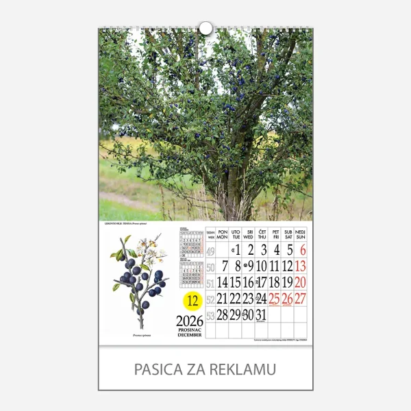Kalendar s rotacijskim krugom Ljekovito bilje 2026 - prosinac