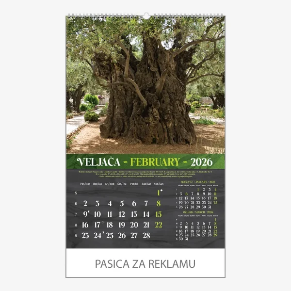 Zidni kalendar Masline 2026 – veljača