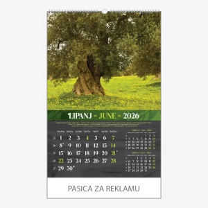 Zidni kalendar Masline 2026 – lipanj