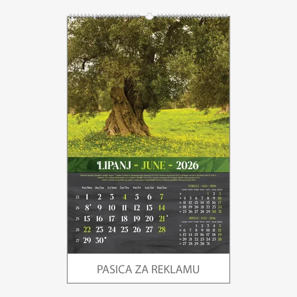 Zidni kalendar Masline 2026 – lipanj
