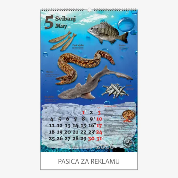 Zidni kalendar Ribarnica 2026 – svibanj